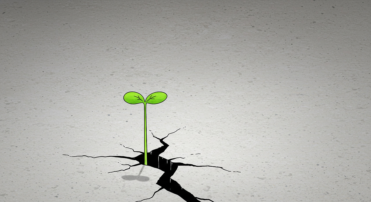 Image_fx - 2025-10-05T195457.770.jpg