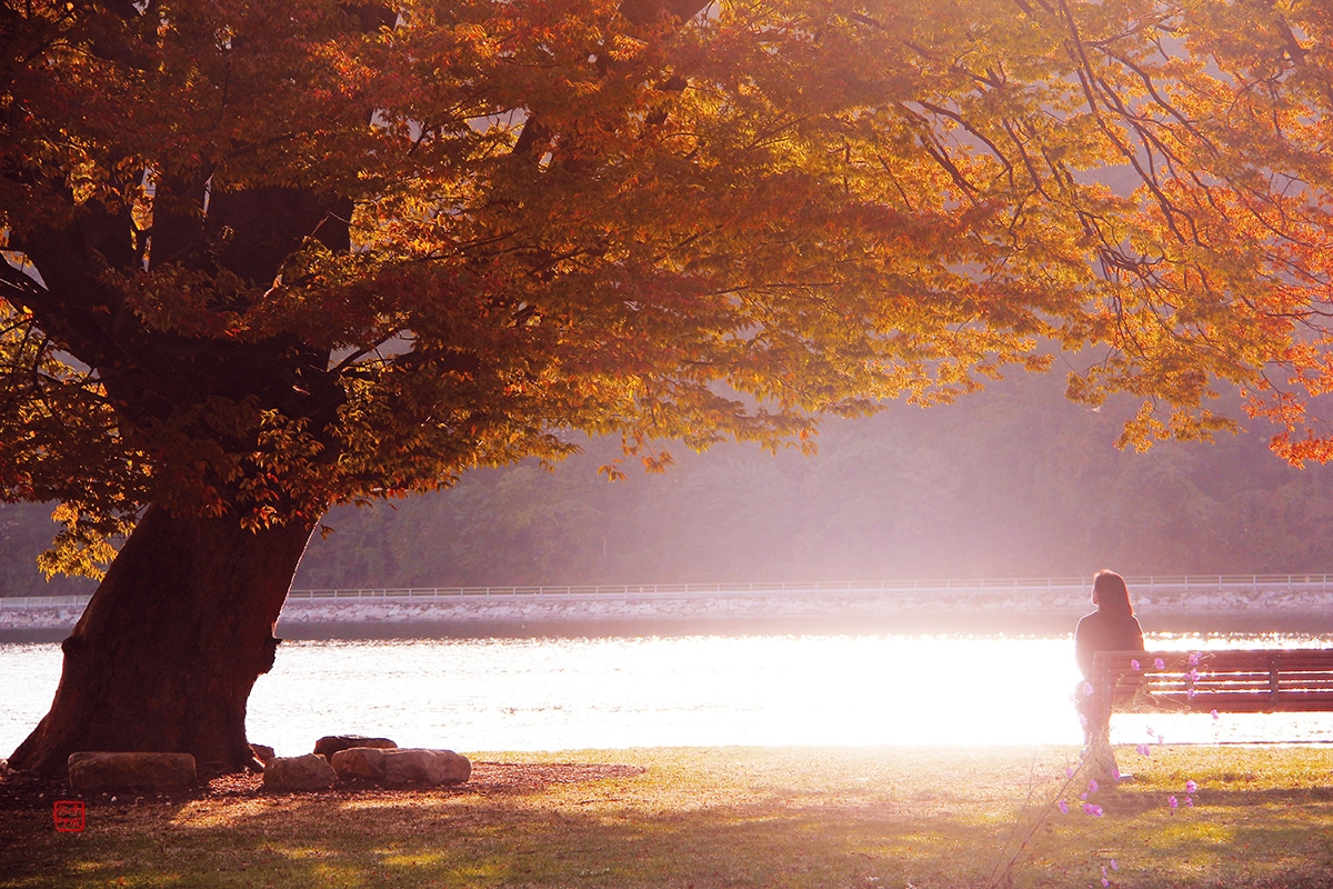 가을이 머물다_축소.jpg