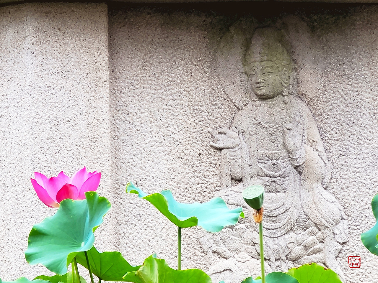 연꽃 부처 07 낙관_축소.jpg