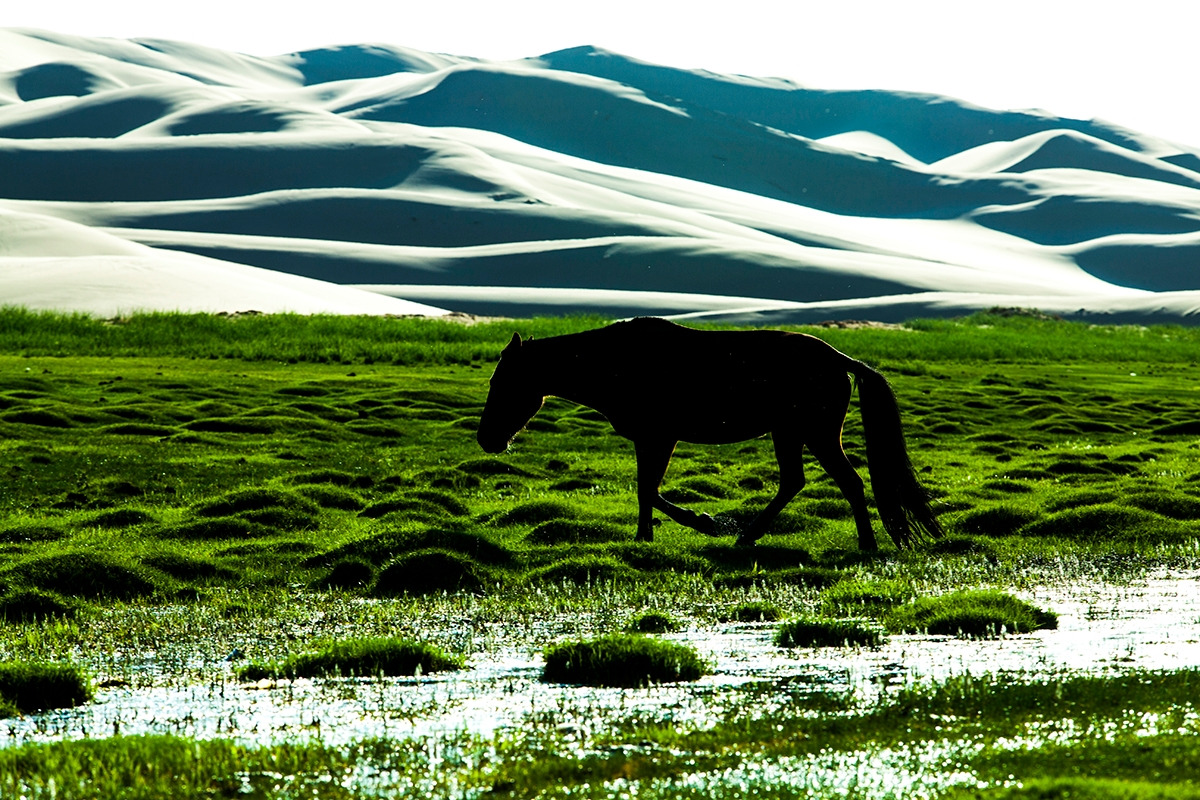 42 몽골 009_수정_축소.jpg