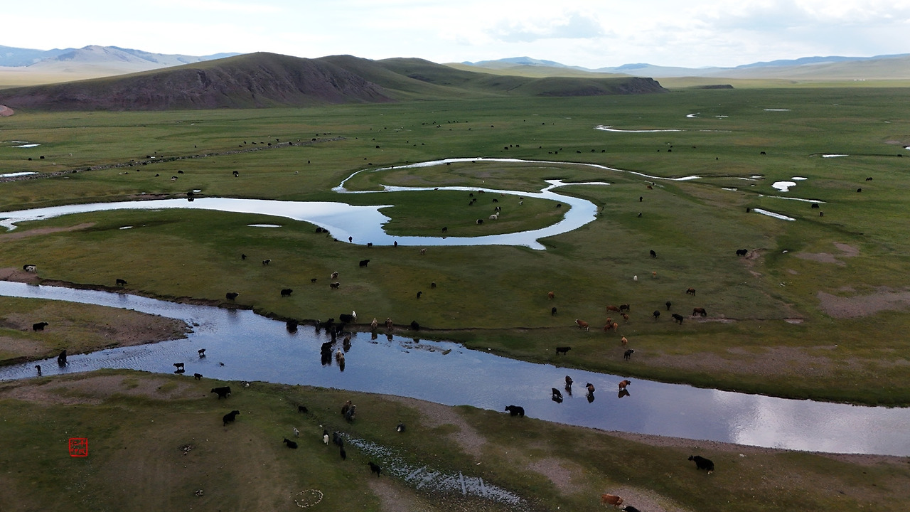 14 강물줄기_혈관_생명의강_낙관_축소.jpg