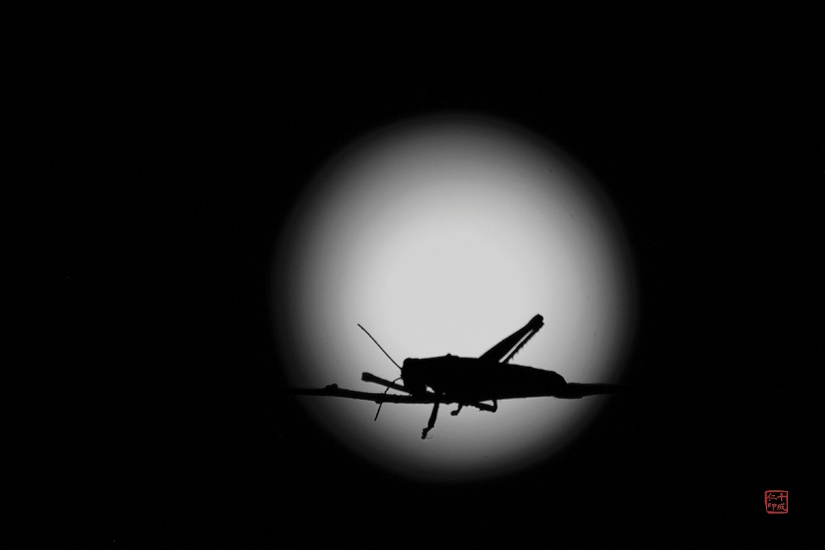 11 달을 품은 존재.jpg