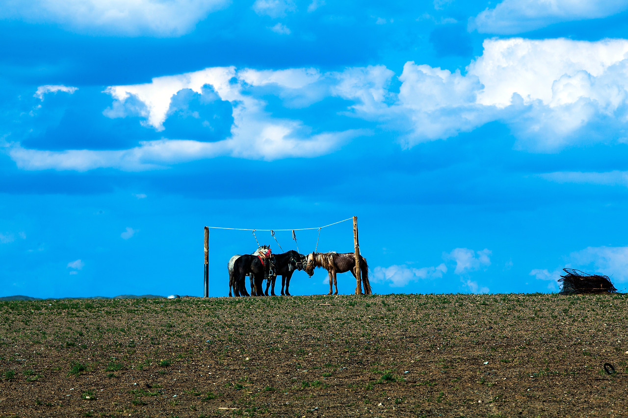 45 묵인 말_수정.jpg