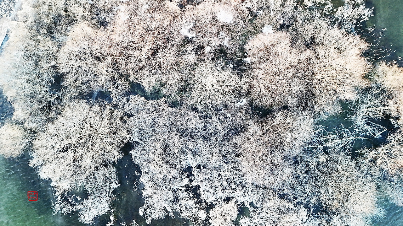 19 상고대 03 복사_축소.jpg