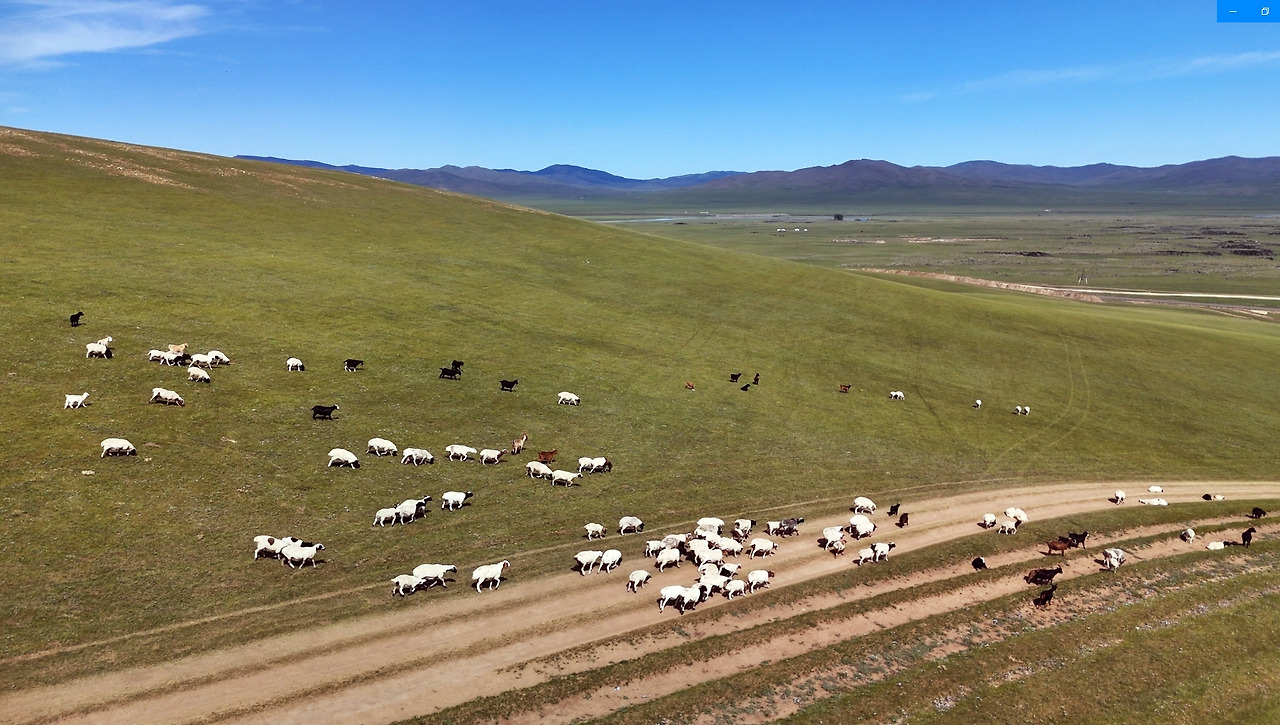 29 양떼 몰이 03.jpg