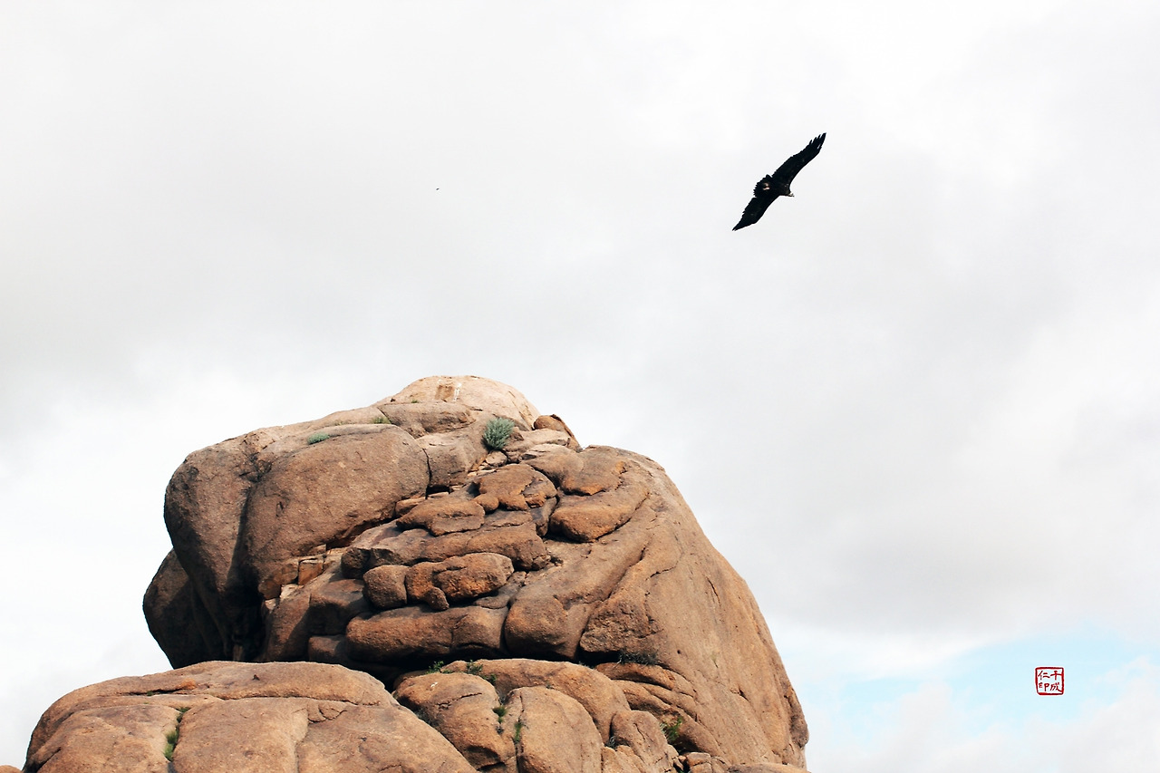 30 독수리_드론이 무서운 이유_낙관_축소.jpg