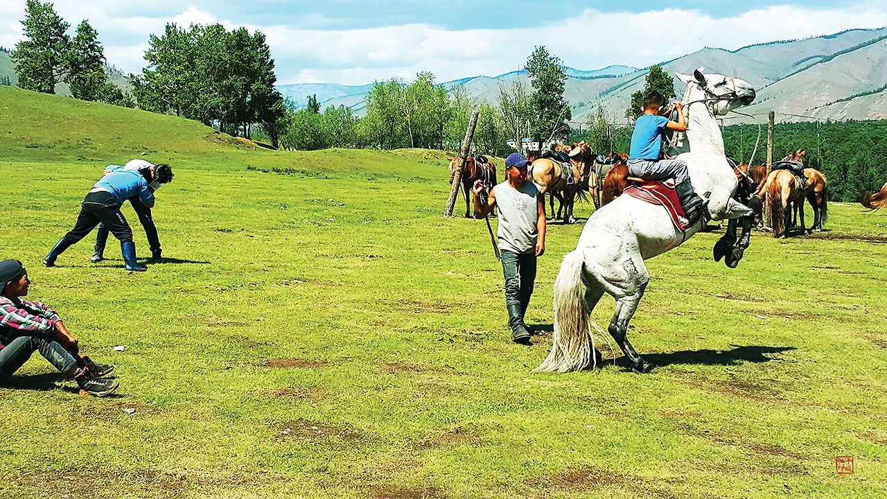 15 몽골 말타기와 씨름_RGB_축소.jpg