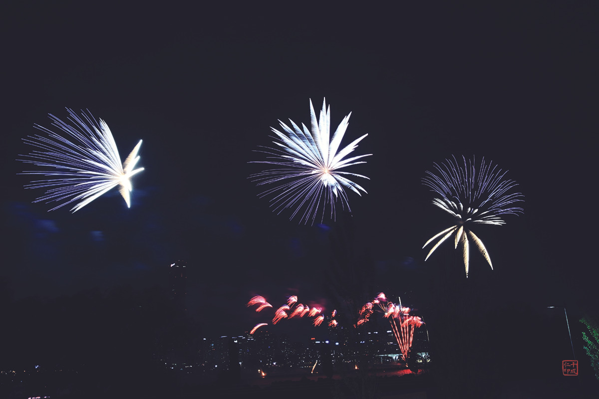 14 서울 불꽃축제 나비날다_CMYK_축소.jpg