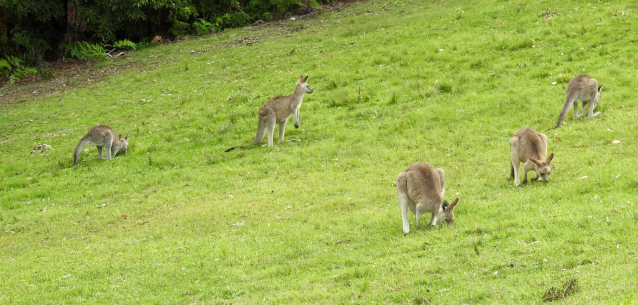 20170412 Avondale University002.jpg