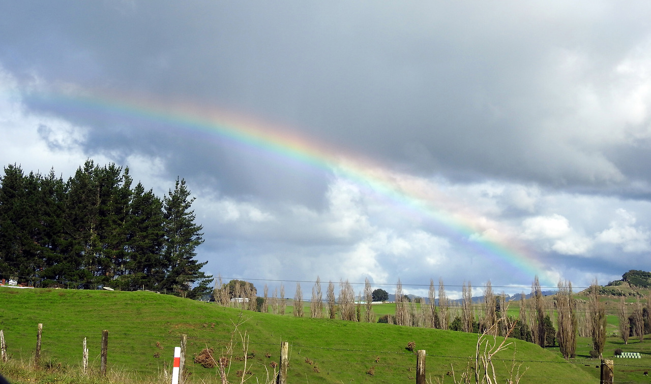 20170417 Waitomo Caves New Zealand001.jpg