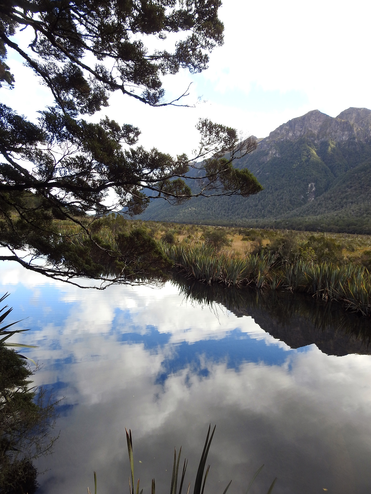 20170415 Mirror Lake New Zealand002.jpg