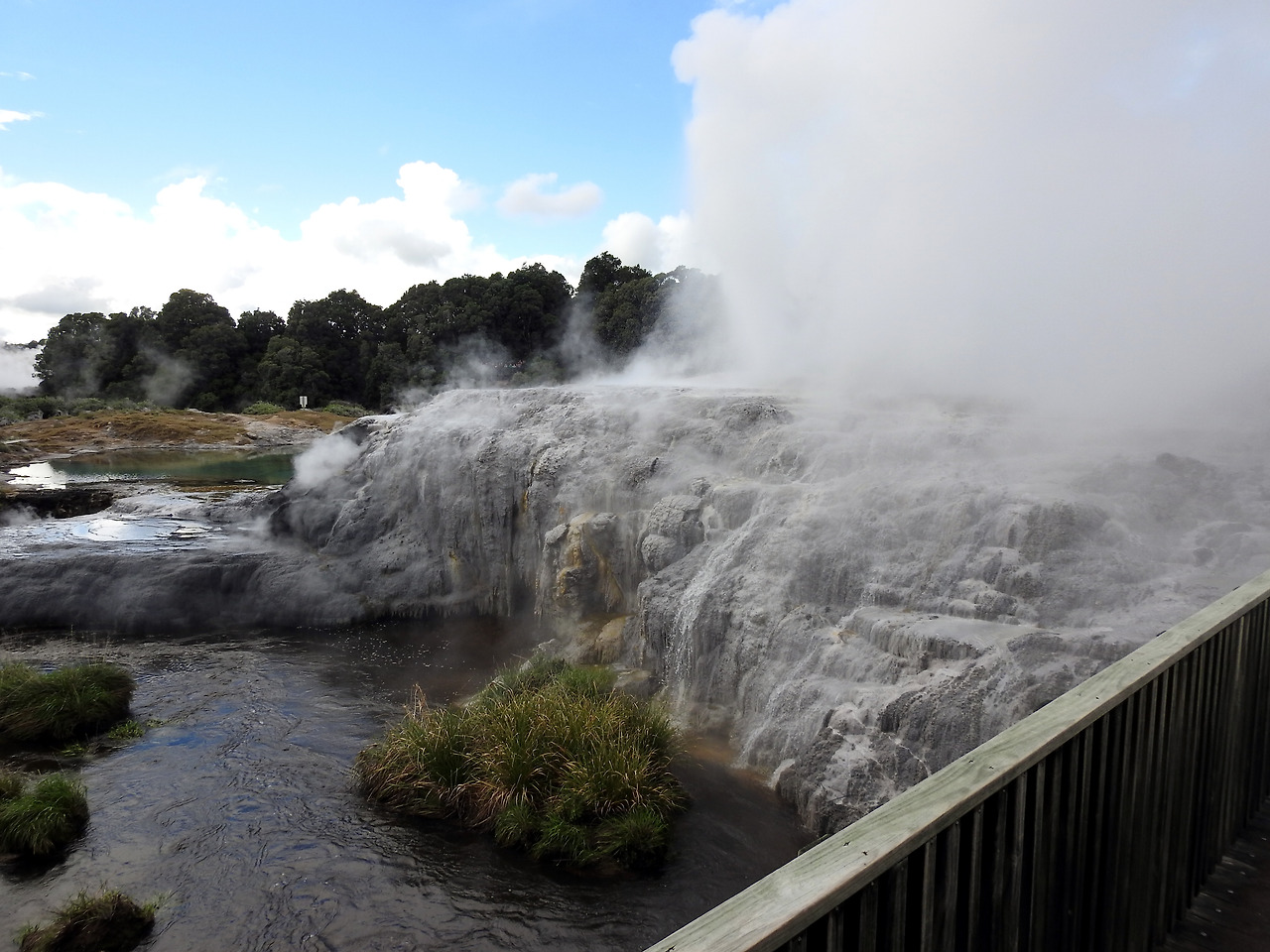 20170417 Whakarewarewa New Zealand009.jpg