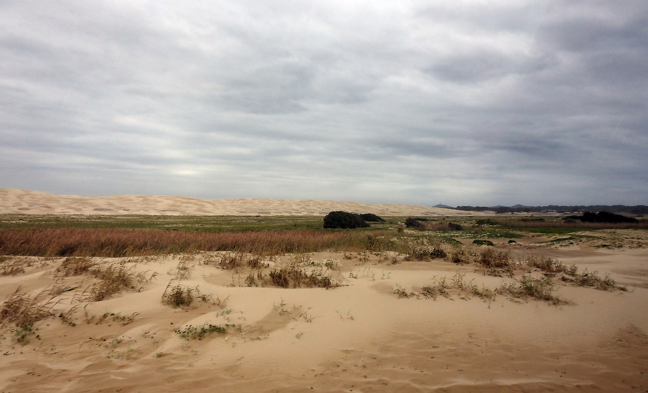 20170411 Port Stephens Australia003.jpg