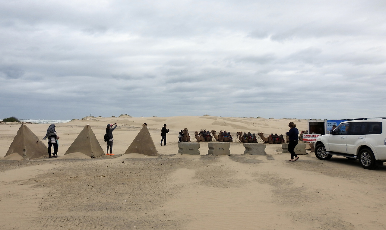 20170411 Port Stephens Australia002.jpg