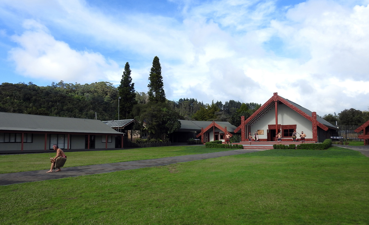 20170417 Whakarewarewa New Zealand003.jpg