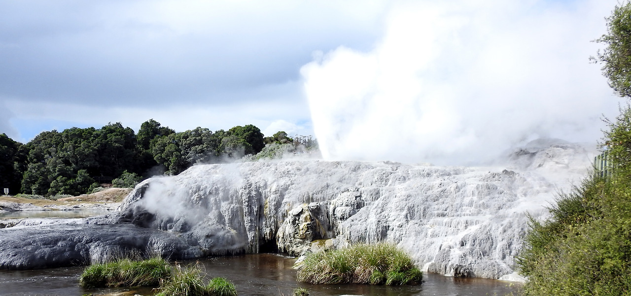 20170417 Whakarewarewa New Zealand008.jpg