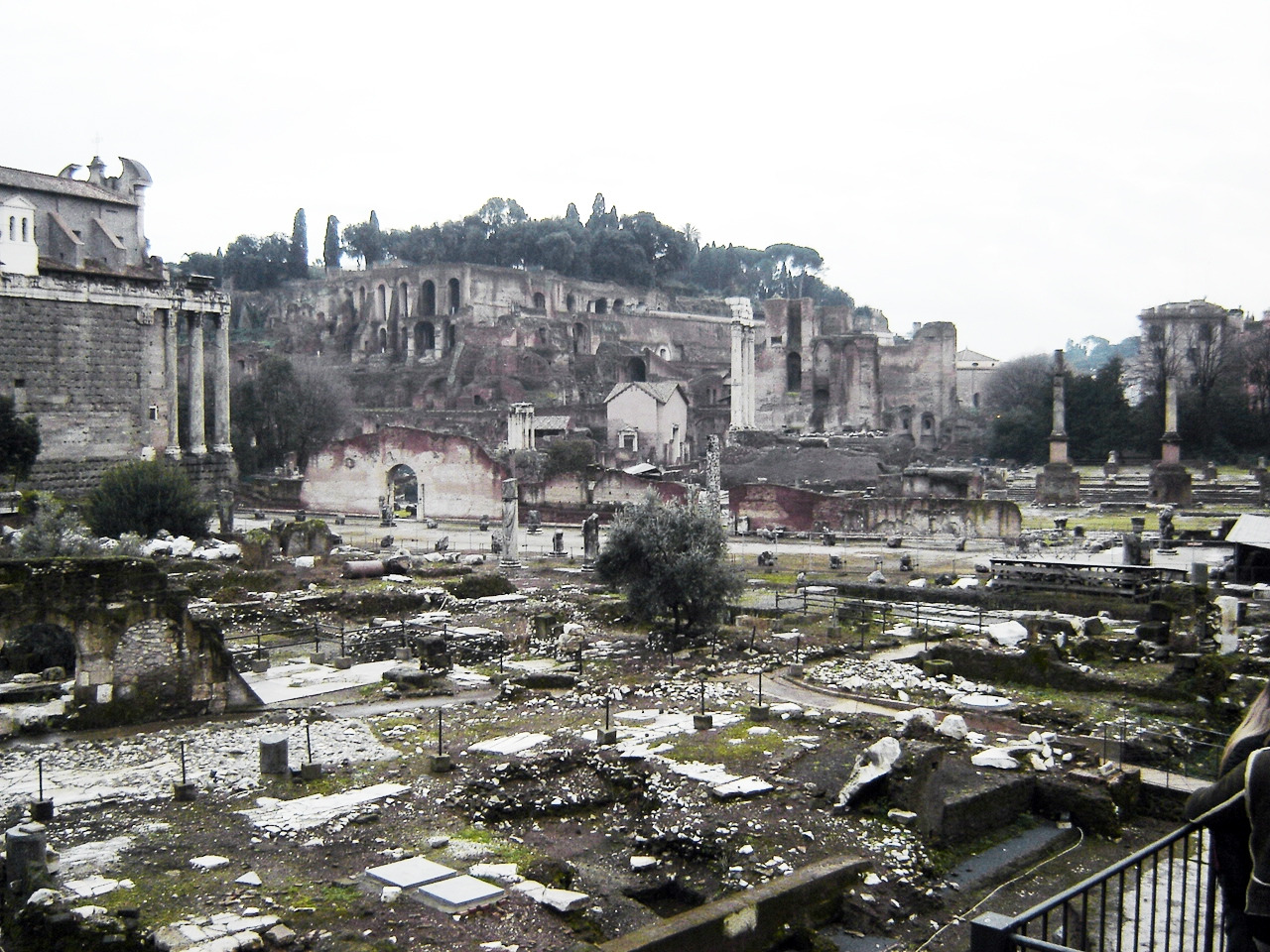 20051231 Foro Romano Rome Italy001.jpg