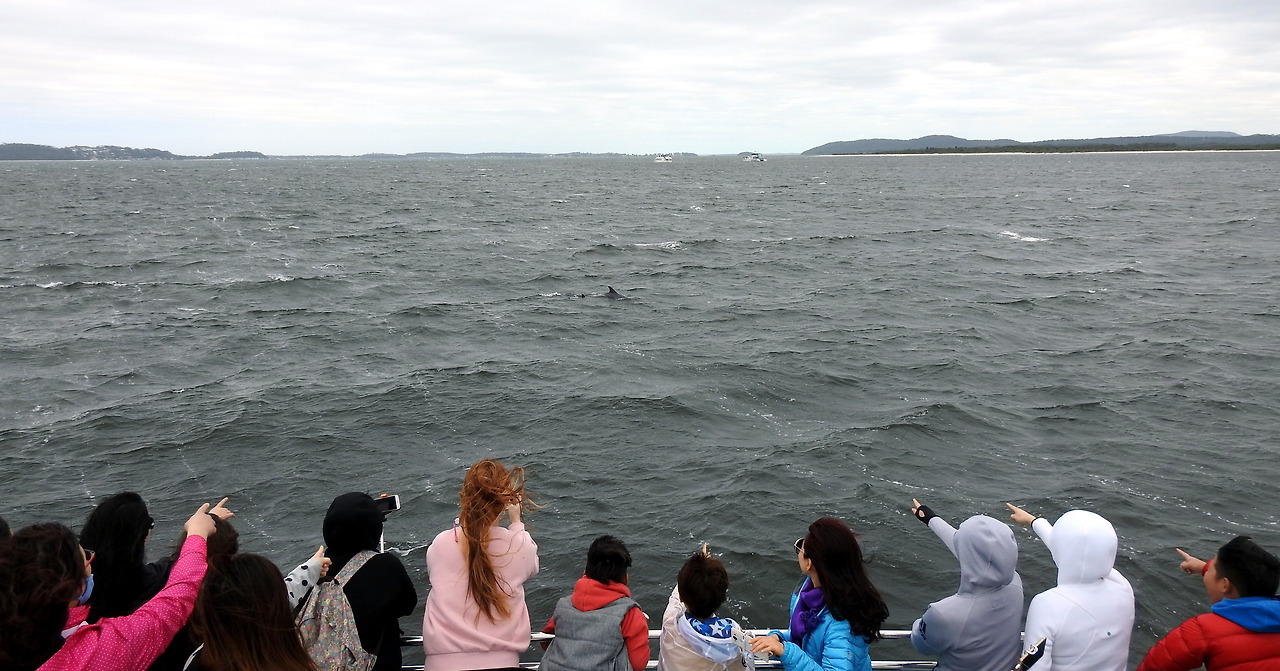 20170411 Port Stephens Australia010.jpg