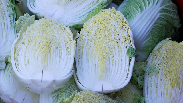 chinese-cabbage-5798137_640.jpg