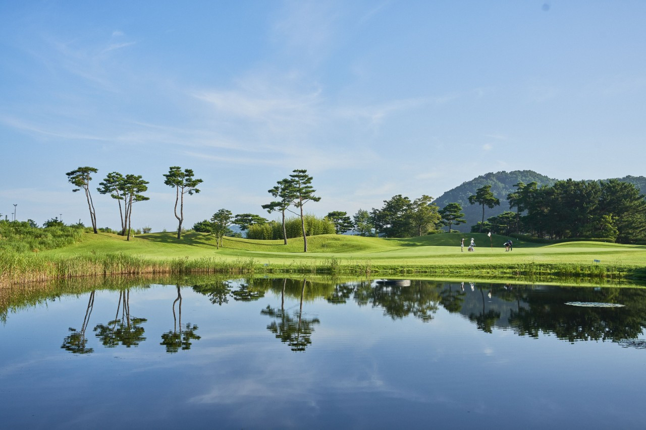 다운로드 (16).jpg