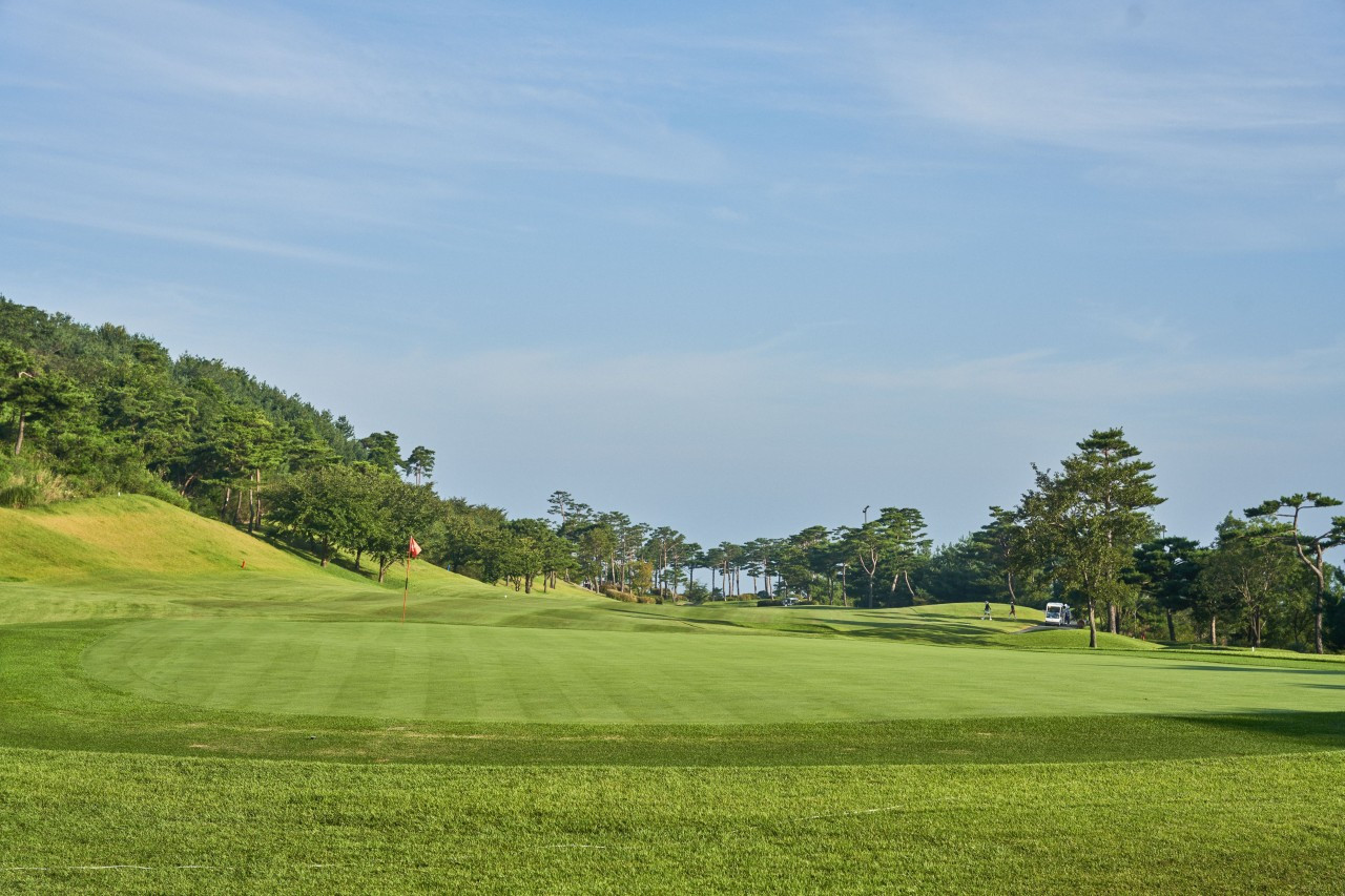 다운로드 (19).jpg