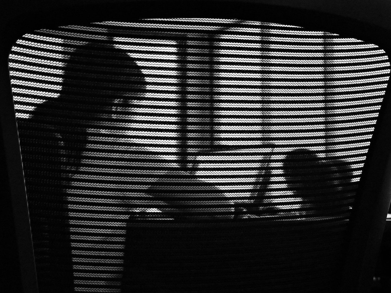 cai-fang-f2ne21TrRKw-unsplash (1).jpg