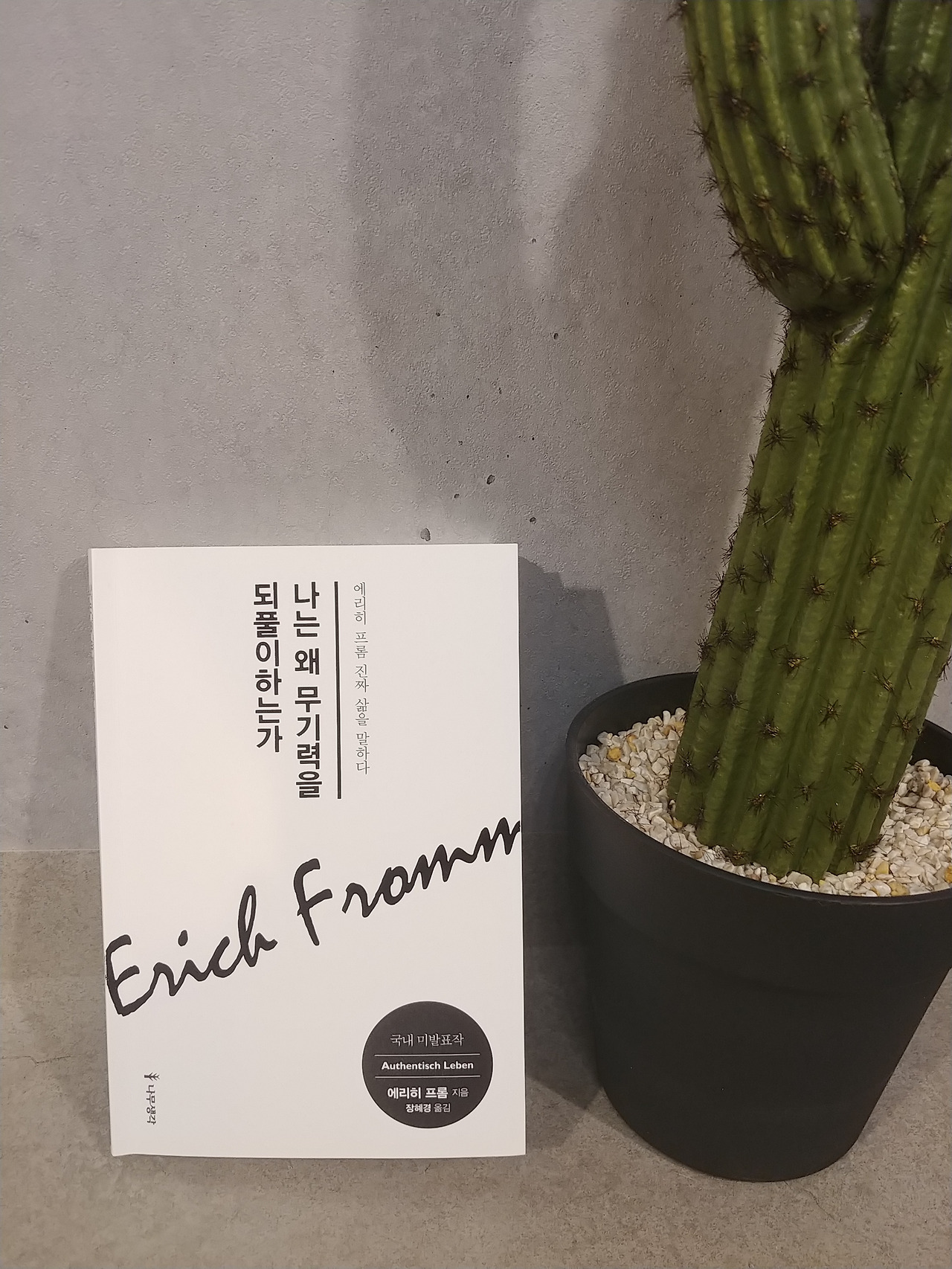 나는 왜 무기력을 되풀이하는가.jpg