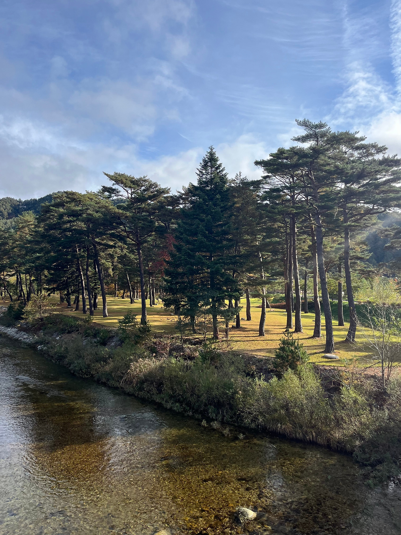 마지막날 풍경4.jpg