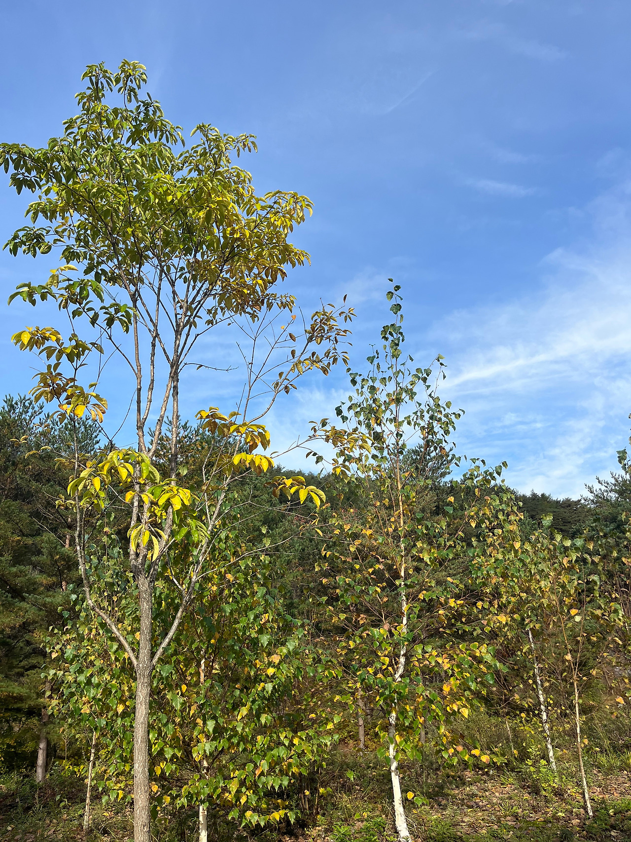 마지막날 풍경2.jpg