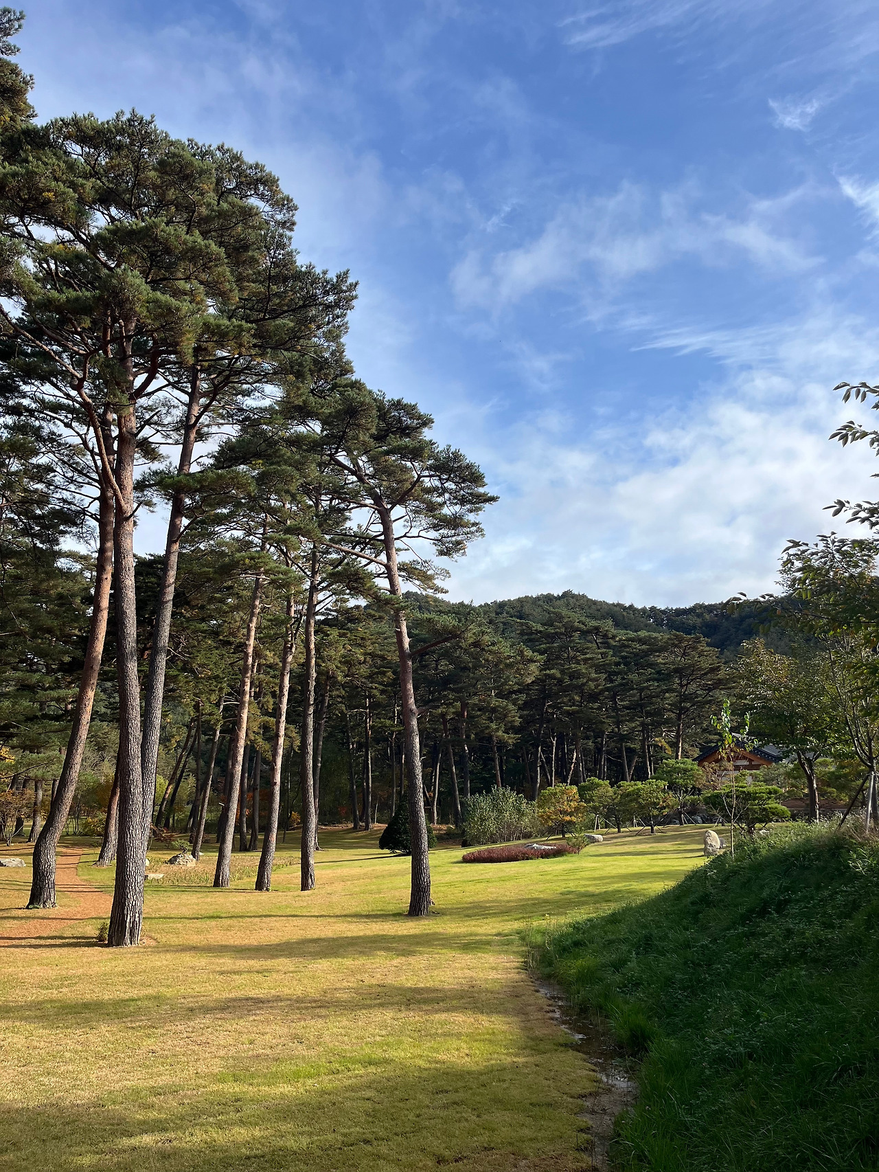 마지막날 풍경5.jpg