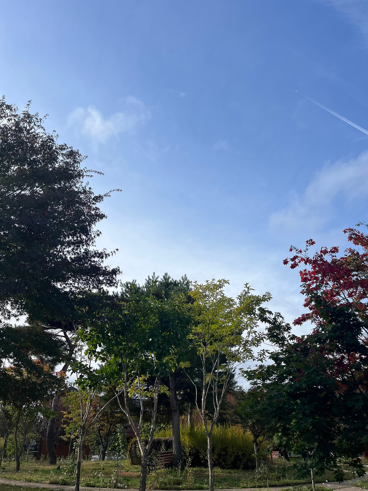 마지막날 풍경.jpg