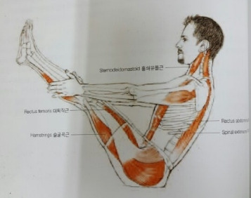 나바아사나 해부학.jpg