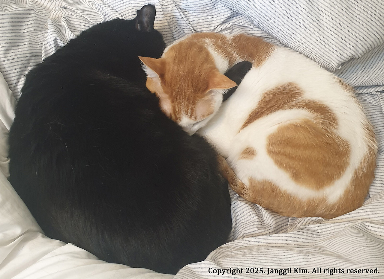 20251018 에필로그.jpg