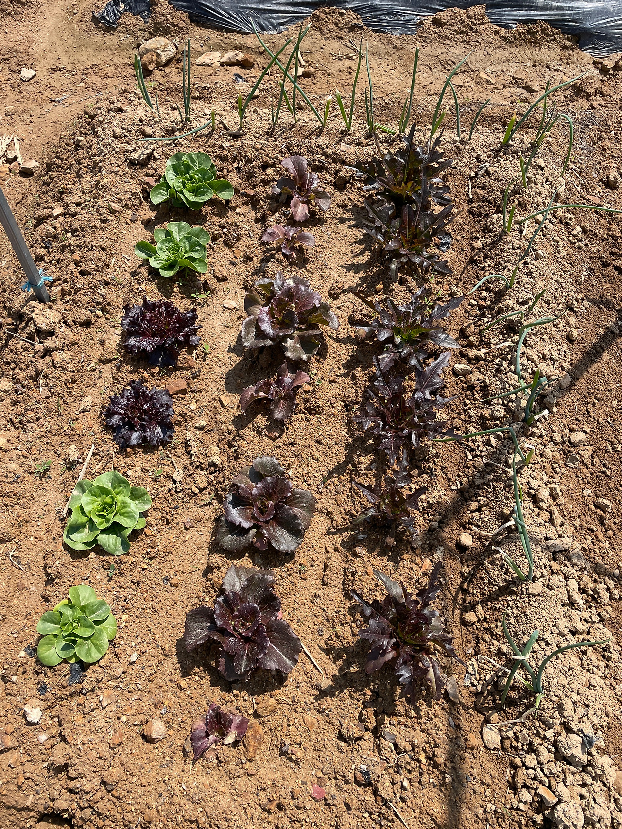 KakaoTalk_20230501_222312106_04 (1).jpg