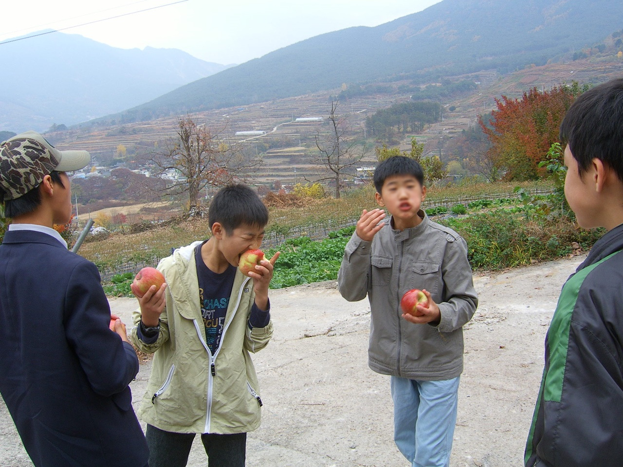 사본 -사과껍질째.jpg