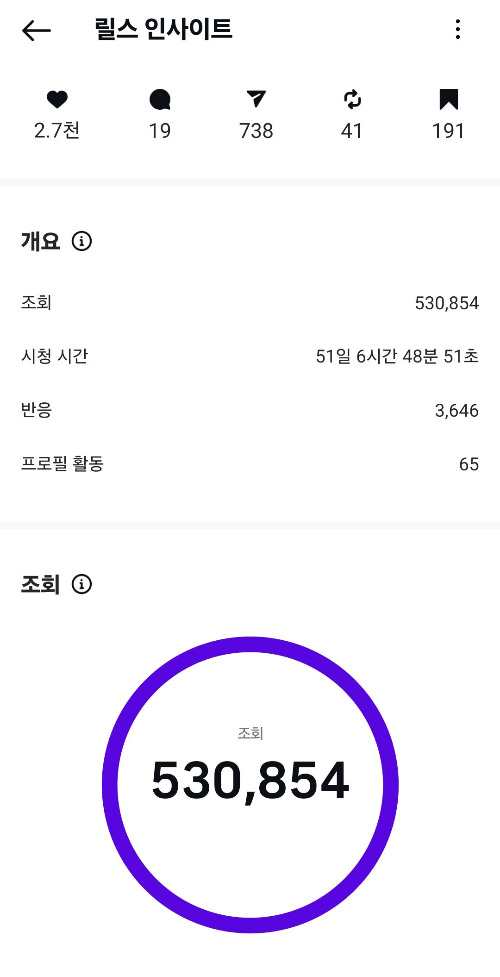 릴스 50만 인사이트.jpg