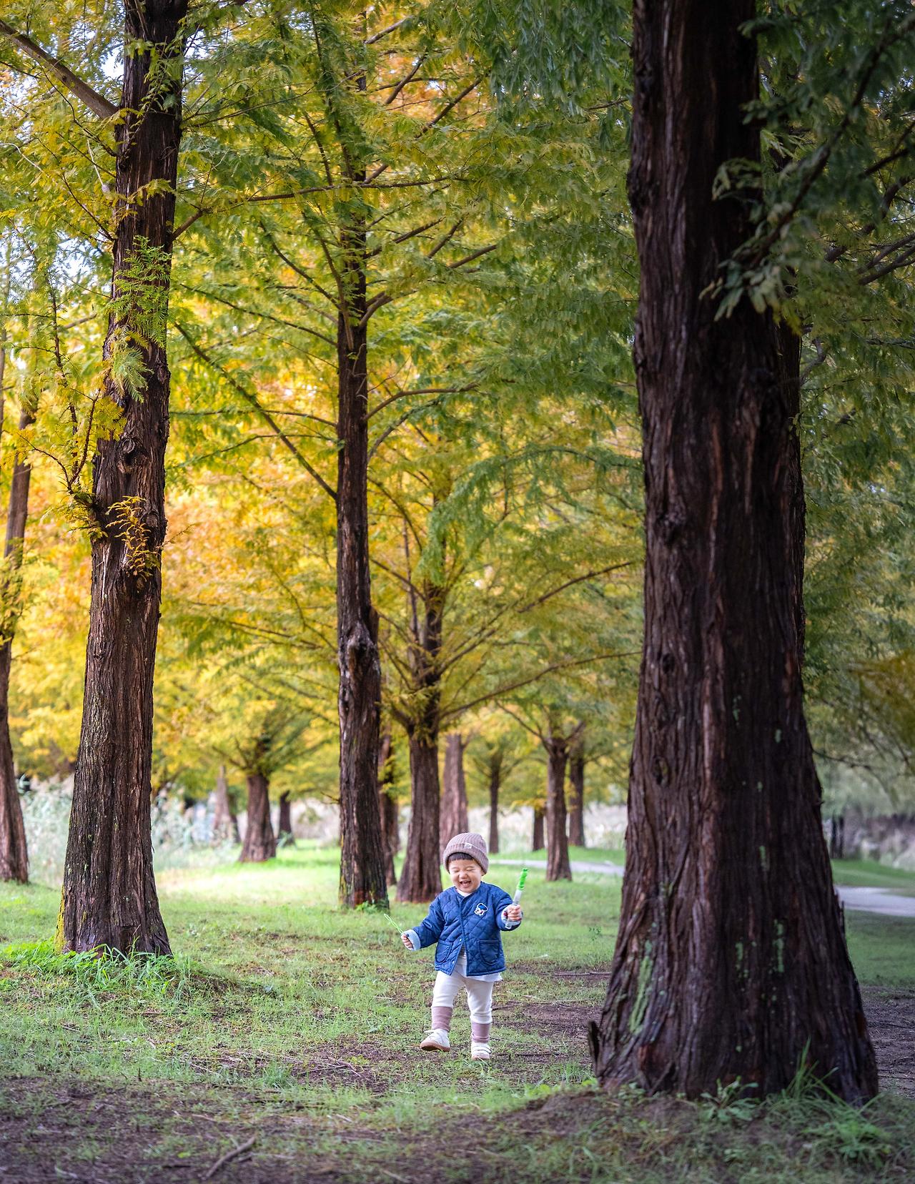 1번 아를테마 수목원.jpg