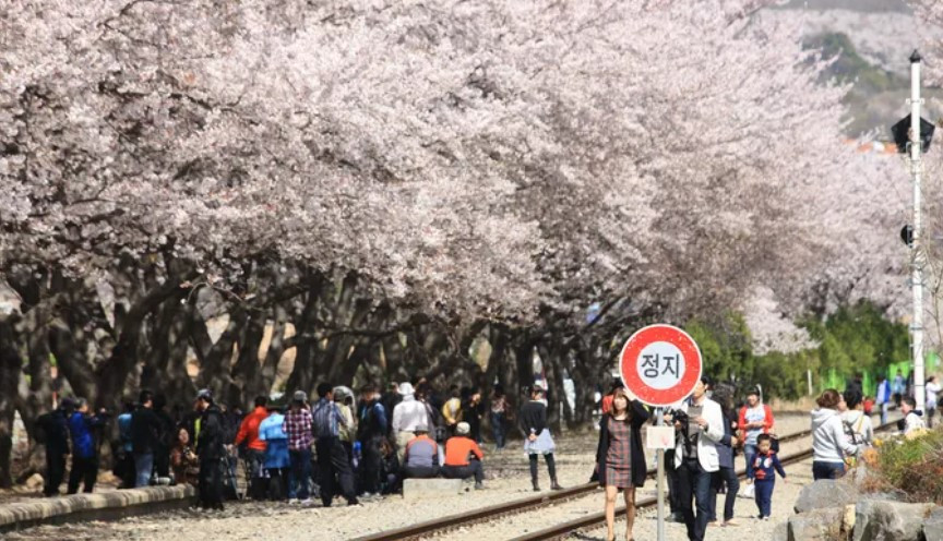 화면 캡처 2026-01-05 102915.jpg