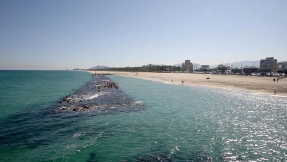 화면 캡처 2025-11-25 143814.jpg