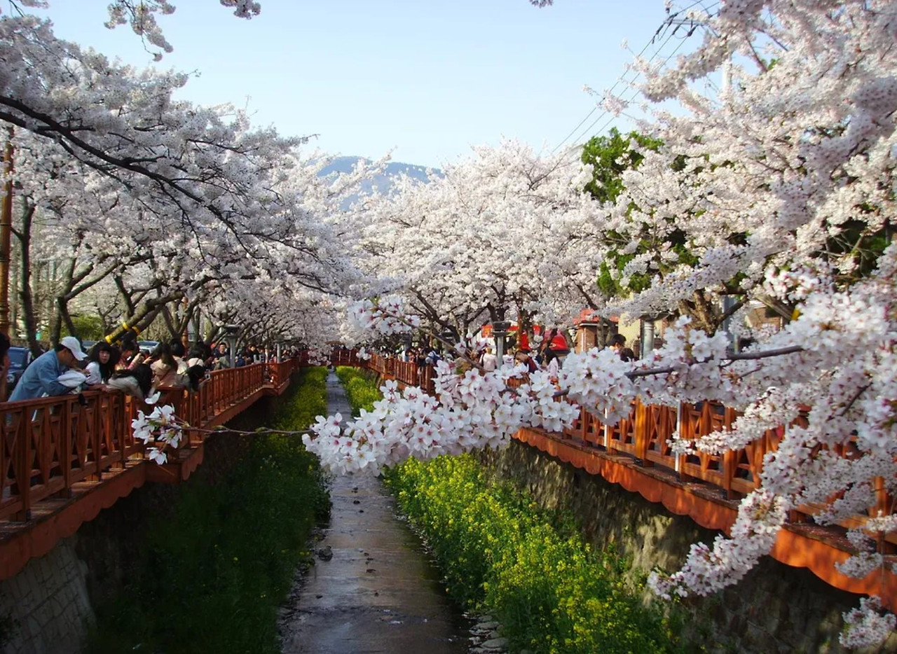 화면 캡처 2026-01-05 102849.jpg