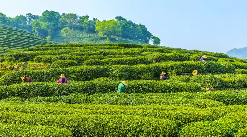 화면 캡처 2025-12-17 094936.jpg