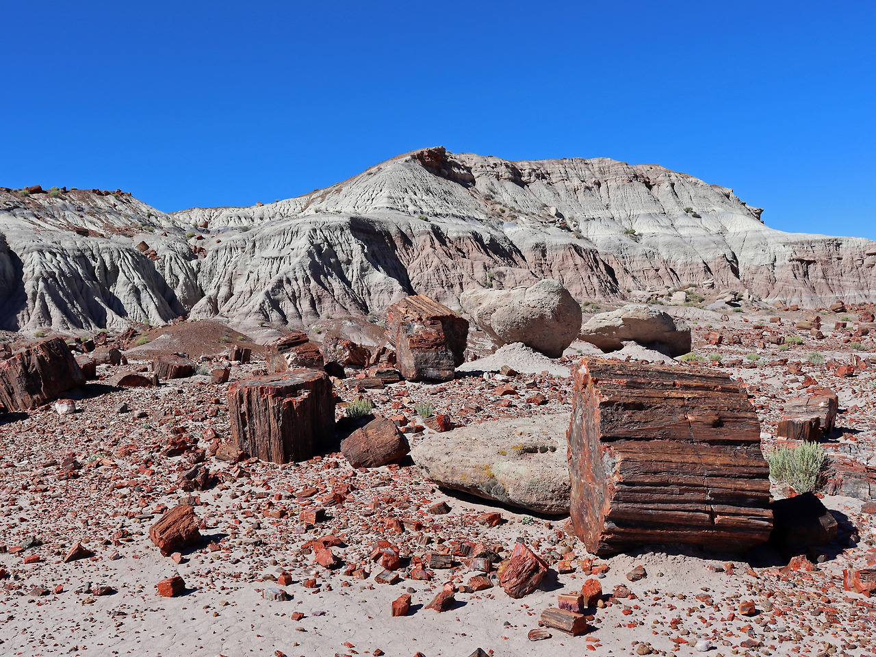 Jasper_Forest_at_Petrified_Forest_NP_in_AZ_12.jpg