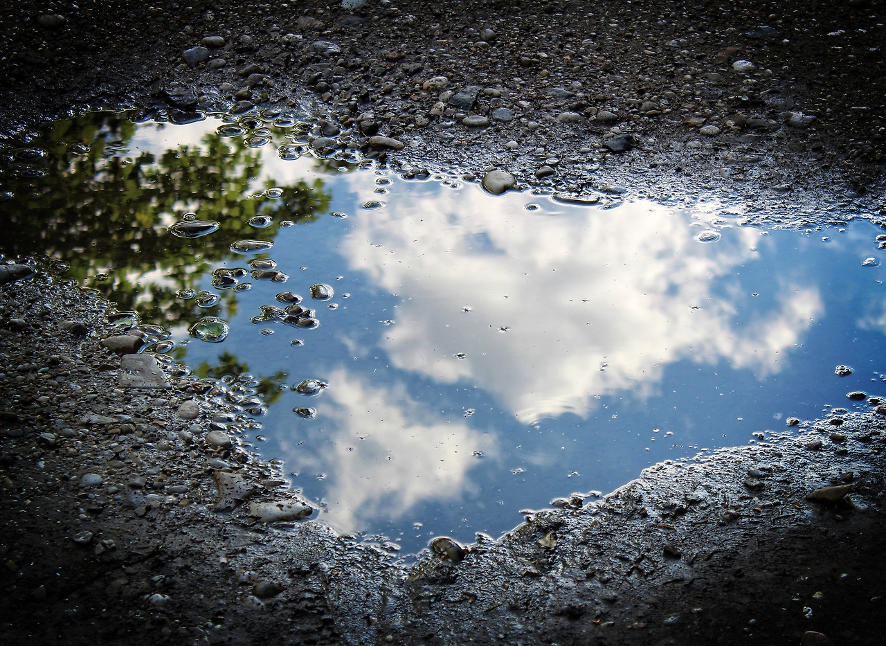 puddle-2861809_1920.jpg
