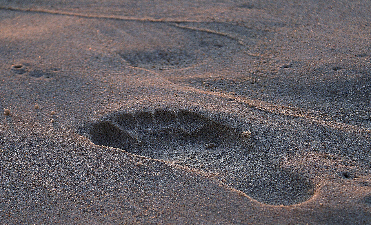 footprint-908273_1920.jpg