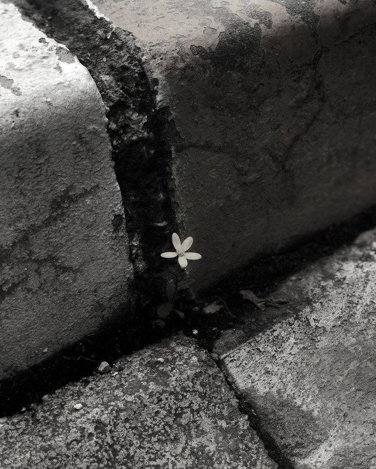 다운로드 (84).jpg