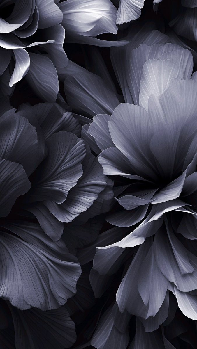 다운로드 (22).jpg