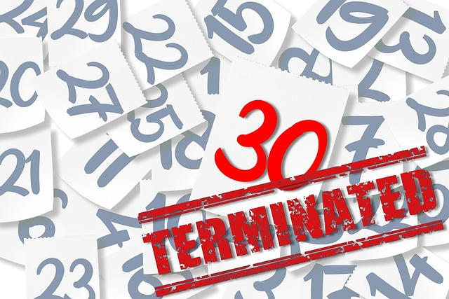 termination-9241679_640.jpg