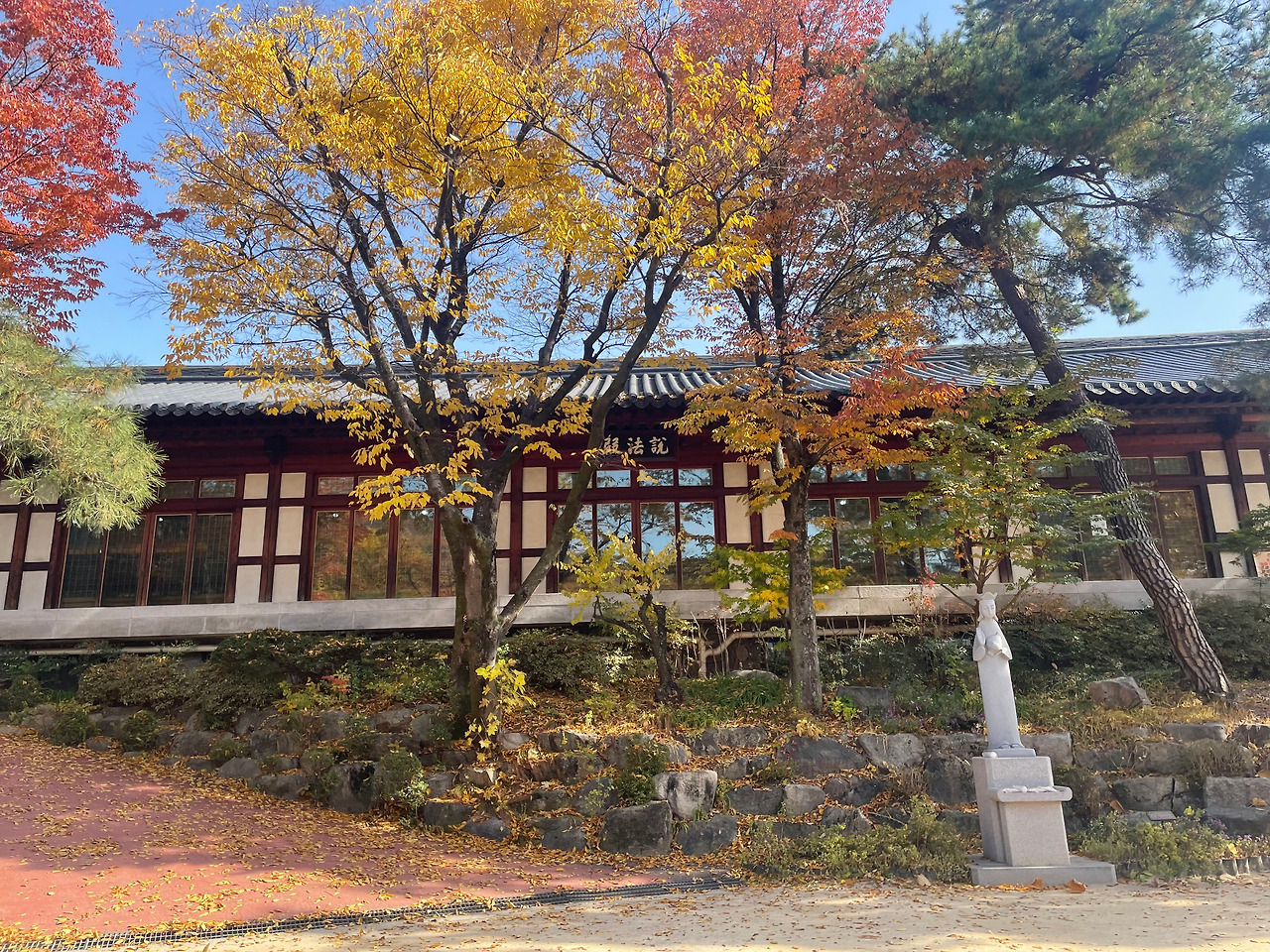 진심이 통하는 순간, 첫 댓글의 힘.jpg