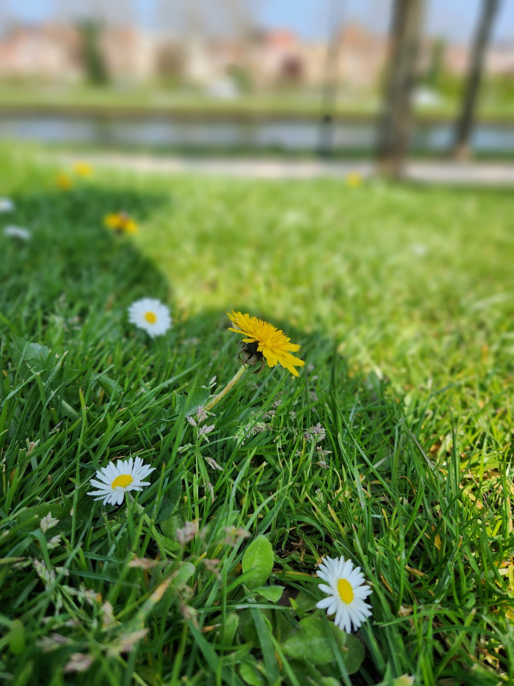 KakaoTalk_20251102_200359024_09 - 복사본.jpg