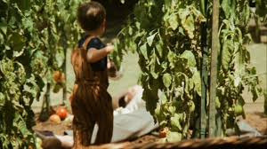 비토의 죽음2.jpg